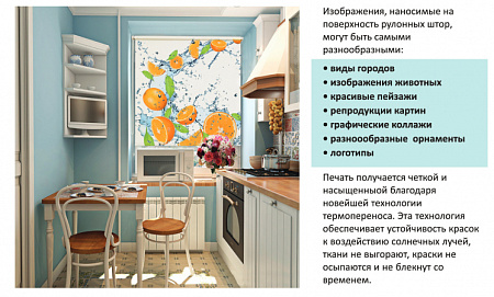 Рулонные шторы с фотопечатью