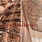 City Collection